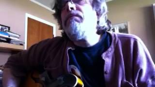 Video thumbnail of "Envy of Angels (Mutton Birds cover) by Scott Roberts"