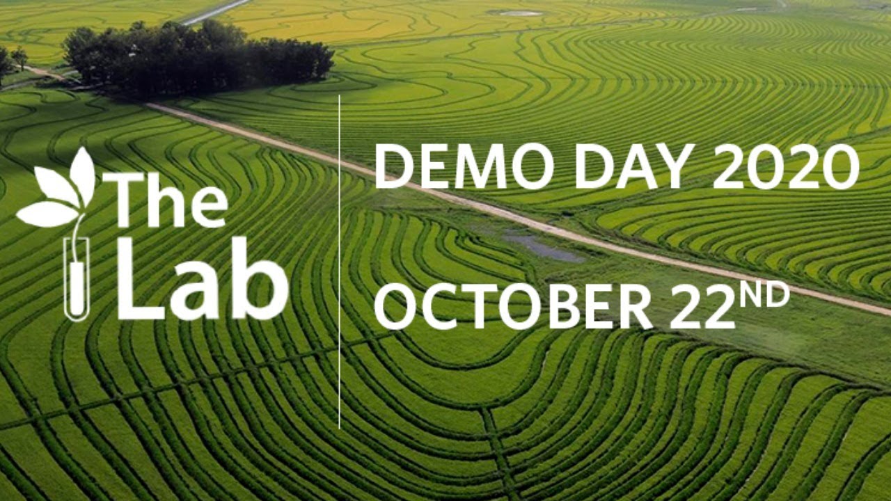 Demo day