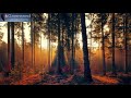 Study Music, Binaural Beats Focus Music, Studying Music, Concentration Music with Brain Waves