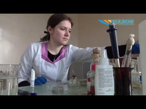 Video: Bakteriolog - Dužnosti, Specifičnosti Struke