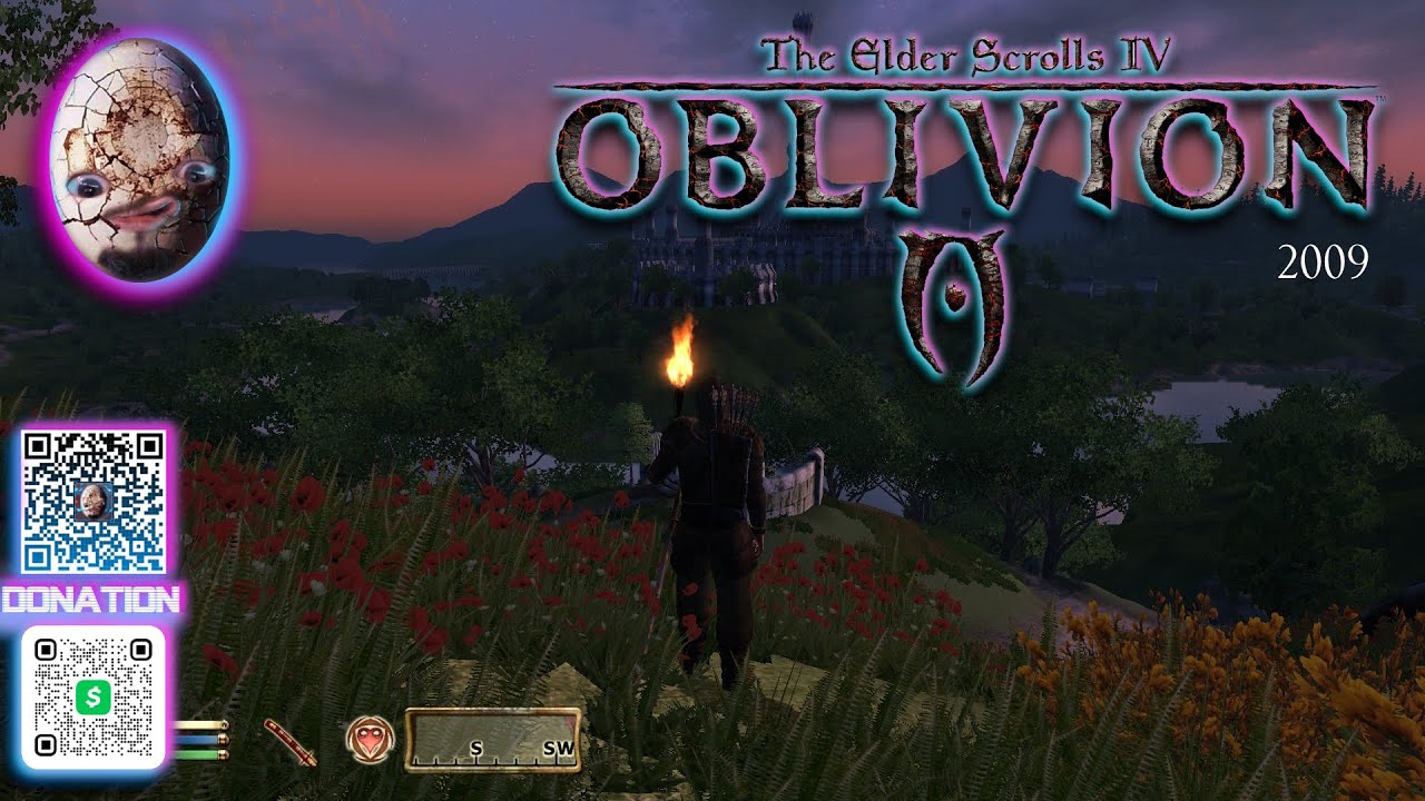 Oblivion - I keep installing mods #gaming #theelderscrollsivoblivion ...