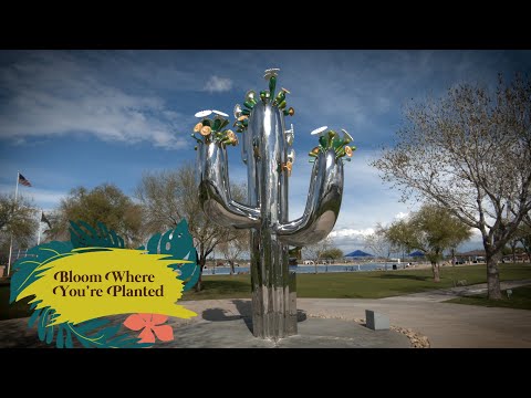 Bloom Where You’re Planted video thumbnail