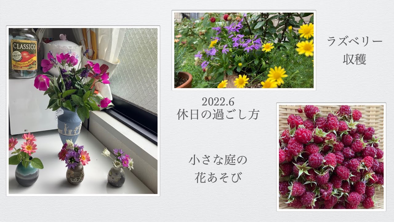 Vlog 小さな庭の ラズベリーとお花で遊ぶ 静かな休日の過ごし方 Youtube