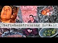 Survival Training Schweiz Teil 1 / Überleben im Wald ohne Ausrüstung