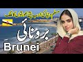 Travel to beautiful country bruneicomplete history documentry and facts about brunei urdu  hindi