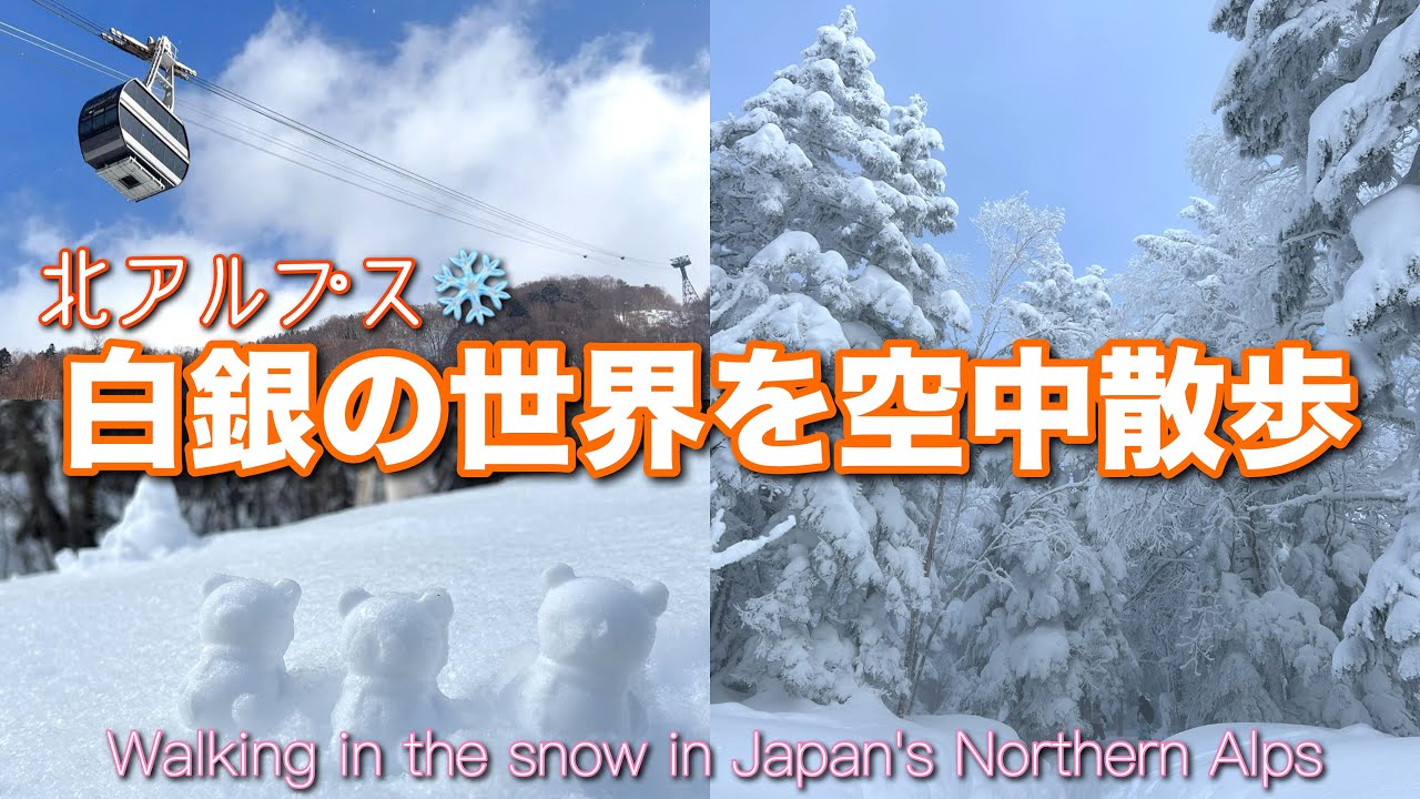 【女ひとり旅】標高2000m越❄️氷点下の雪中散歩＆バスの旅／Walking in the Snow in Japan's Northern Alps