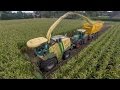 Corn harvesting with Gebr. van Eijck | New Krone Big X700