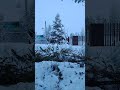 Я ЛЕГЕНДА 😎#pets #лес #pets #automobile #зима #snow #зимнийлес #фильмы