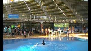 Triple Backflip 10 Meter
