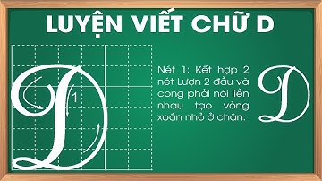 Hướng dẫn viết chữ D hoa cỡ lớn | Luyện viết chữ hoa