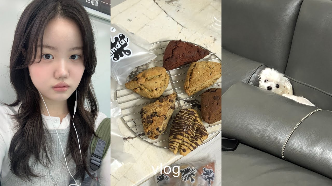 vlog | 벌써 10월 ♪.. | 대학생브이로그 | 윤달스콘 | 경주여행 | 파스타도 만들어 먹고 ..🍝