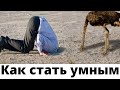 Как стать УМНЫМ