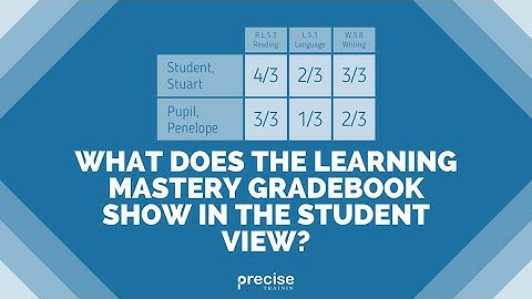 What does the learning mastery gradebook show in the student view