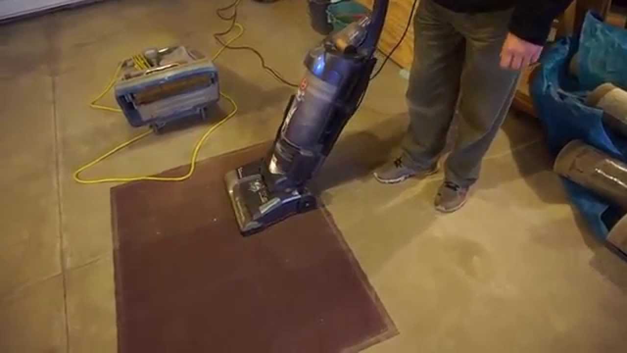 Carpet Pile Lifter Vacuum Carpet Vidalondon