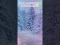 What People Think Canada Looks Like Vs Reality Shorts Relatable Canada Aesthetic Snowy 