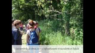 sortie st etienne de montluc