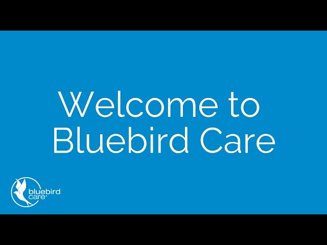 Welcome to Bluebird Care