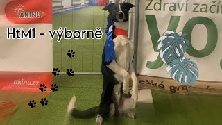 Dogdancing zkouška HtM1 - VÝBORNĚ