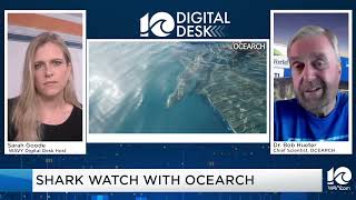 SHARK WATCH: Live conversation with OCEARCH