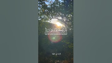 قران كريم ارح قلبك وسمعك #قران_في_دقيقة #رعد_الكردي #quran #قرآن #المصحف @قران_في_دقيقة