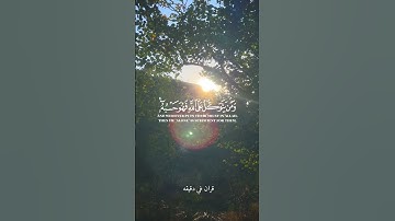 قران كريم ارح قلبك وسمعك #قران_في_دقيقة #رعد_الكردي #quran #قرآن #المصحف @قران_في_دقيقة