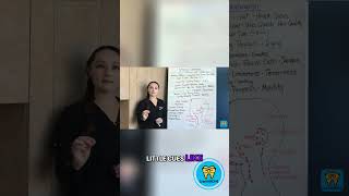 Extraoral Exam: Beginner's Guide for Dental Hygienists - NBDHE Dental Hygiene Boards