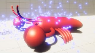 Aerodynamics Of A Lobster