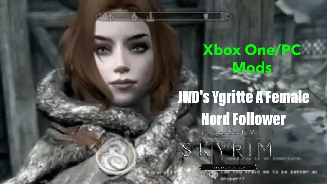 skyrim female followers mod