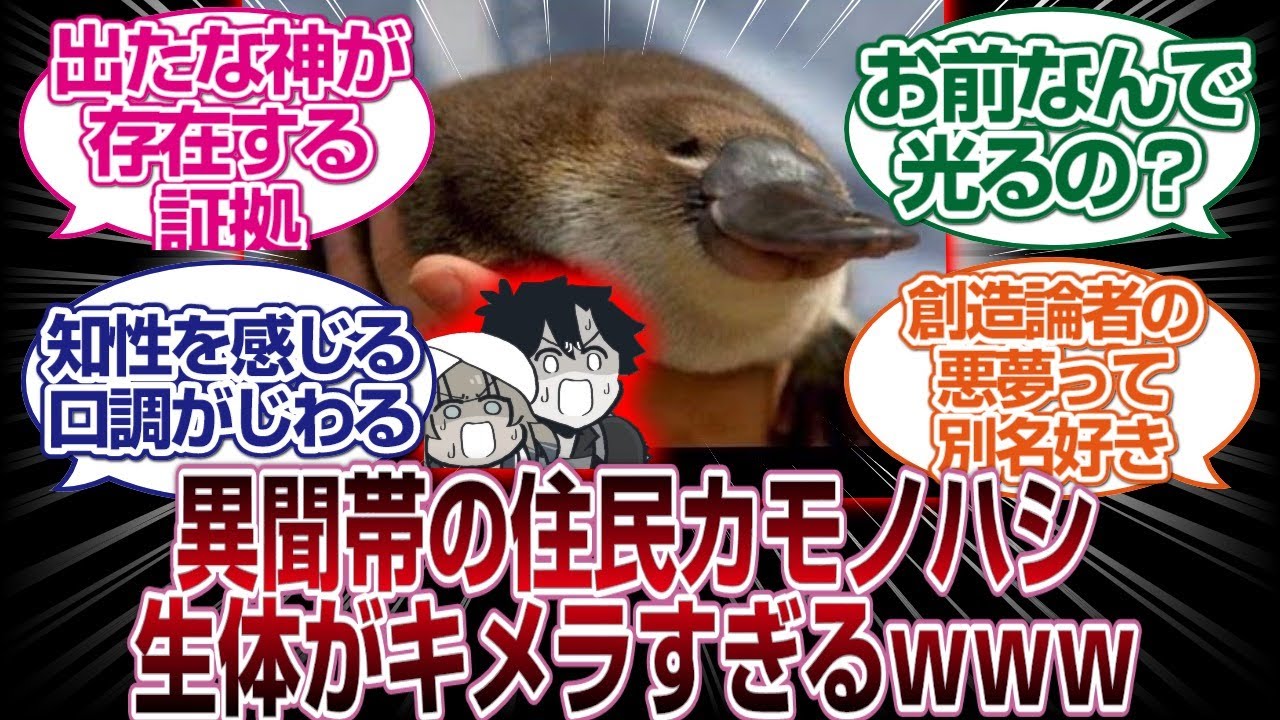 異聞帯の住民　カモノハシの生体が神秘の塊すぎるｗｗｗｗ[FGO反応まとめ]