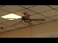 Quorum capri ceiling fans