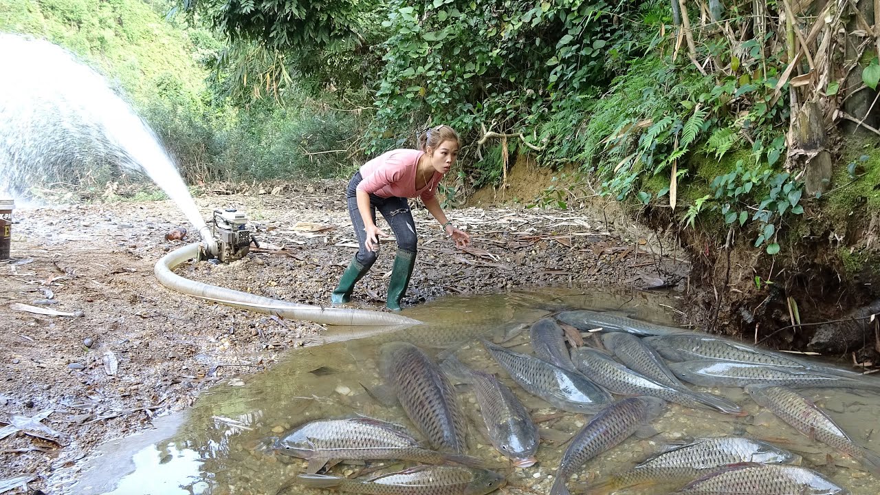 Create Bait To Lure Fish Into The Lake, Use A Pump To Drain The Water ...