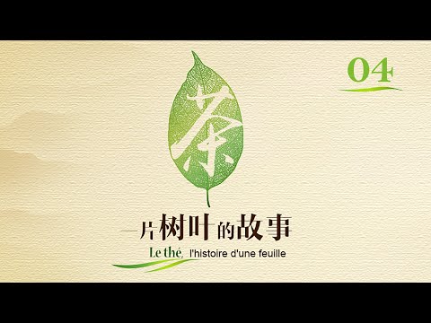 Vidéo: Le thé en feuilles est-il meilleur pour l'environnement ?