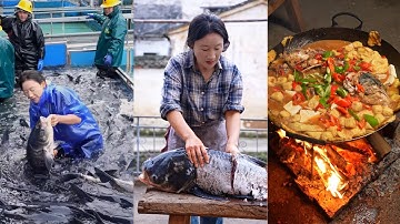 Đại Chiến Thủy Quái Hồ Thiên Đảo! Cá Khổng Lồ Biến Hình Thành 4 Món Đặc Sản Độc Nhất Vô Nhị