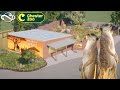 Discover Meerkats at the Heart of Africa | Chester's Heart of Africa Ep.1 | Planet Zoo
