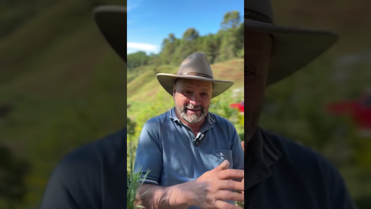 Rompiendo límites  La historia del poder interior