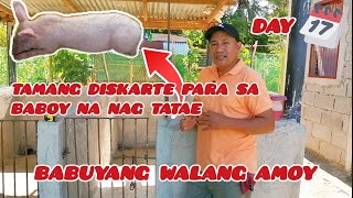 BABUYANG WALANG AMOY | DAY 17 ✅ TAMANG DISKARTE PARA SA BABOY NA NAG TATAE by KaBuddy Moko USAPANG BUSINESS 604 views 1 month ago 11 minutes, 56 seconds