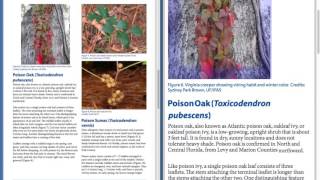 PDFCut for DocuShow: Beautiful reflow of PDF documents in HTML