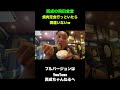 西成・飛田にある飛田食堂さんの焼肉定食が良すぎたw#西成#飛田#西成グルメ#グルメ
