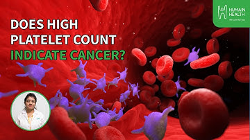 What Is The Normal Platelet Count? | Humain Health