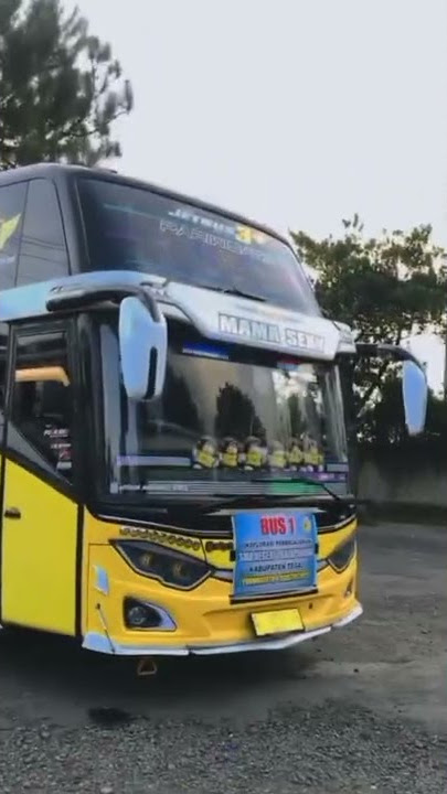 story'wa bus nafit trans mama sexy  X mama cantik #shorts
