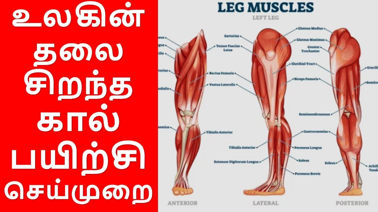 உலகின் தலை சிறந்த கால் பயிற்சி செய்முறை / இறை மதன் / The World's Best leg exercise