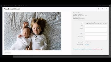 How to add image to Widget area in WordPress