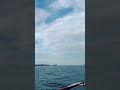 Island hopping @Nasugbu, Batangas