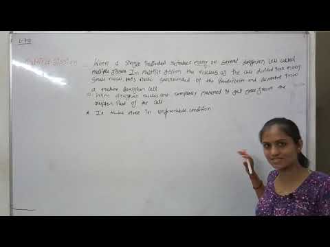 L2 from reproduction  in organism Generation z academy biology classes