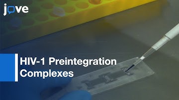 HIV-1 Preintegration Complexes integration Activity Measurement | Protocol Preview