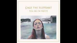 Portuguese Knife Fight - Cage The Elephant | Instrumental