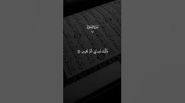اكتب شيء تاجر عليه 🥺🤍 #quran #دويتو #قرآن #تلاوات #المصحف #القزابري #تيك_توك #حالات_واتس #لايك