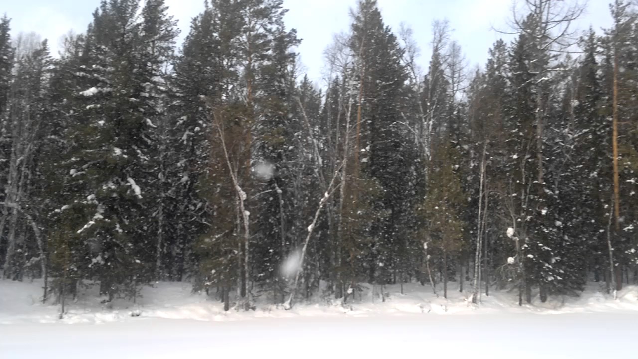 Погода партизанск мотыгинский. Мотыгинский район Красноярский край. Машуковка Мотыгинского Красноярского. Лесное хозяйство Мотыгинского района. Лесной фонд Мотыгинского района.