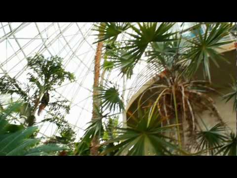 San Antonio Botanical Garden Youtube
