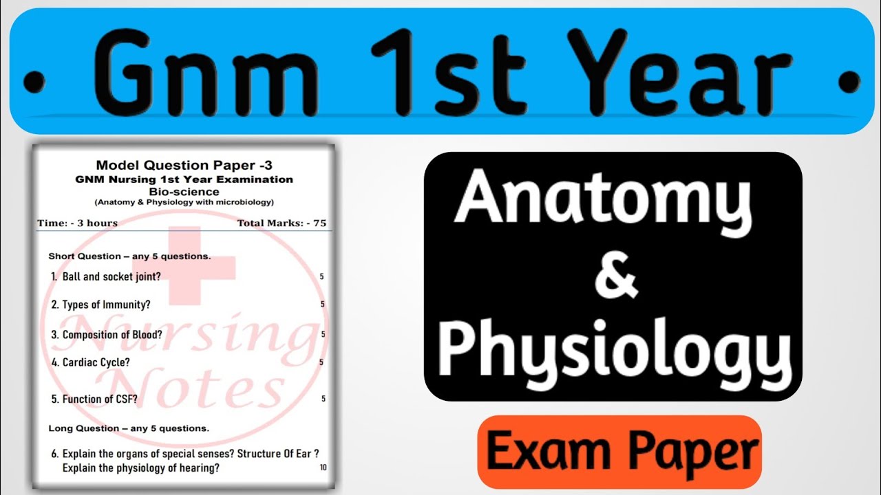 Gnm 1st Year Anatomy and Physiology Exam Paper // Gnm 1st Year Bio ...